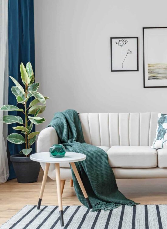 iStock-943910360-(1)