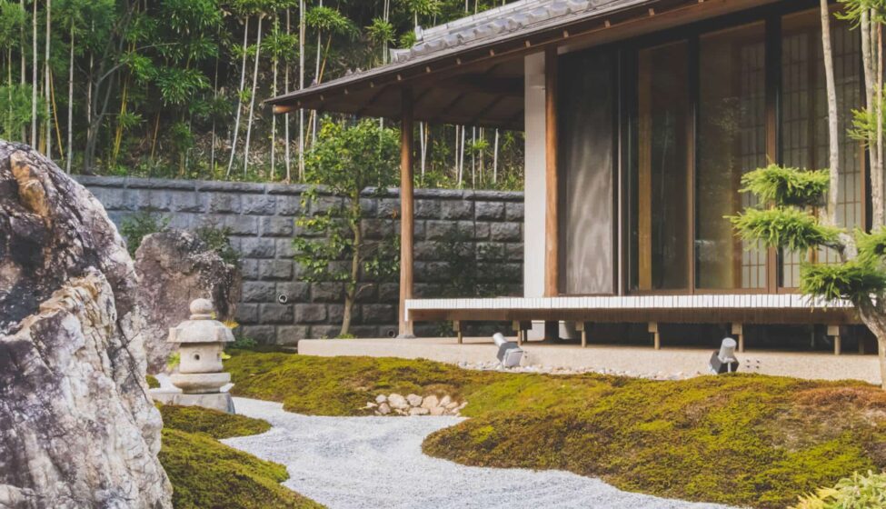 pepe-nero-229539-unsplash